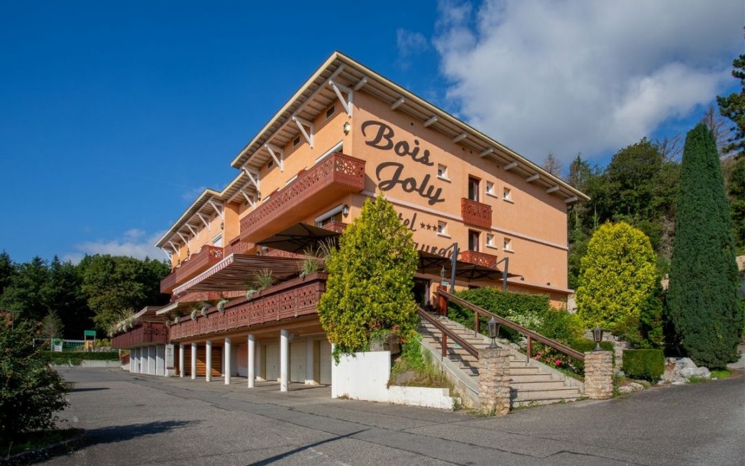 Hôtel séjour affaire dans le Pays de Gex