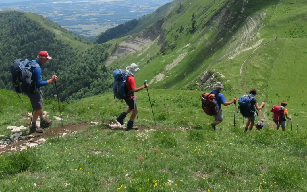 Hôtel au pied du Jura – Séjournez entre nature et confort à Crozet